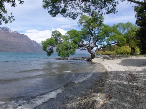 Queenstown shore line