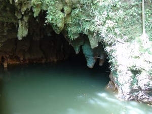 Waitomo caves