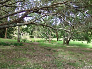 Victoria Park
